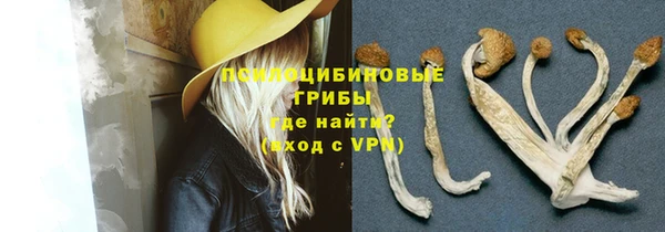 бошки Бородино