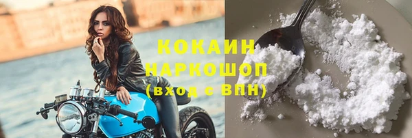 бошки Бородино