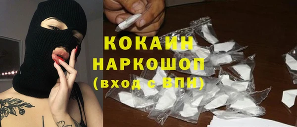 бошки Бородино
