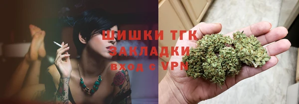 бошки Бородино
