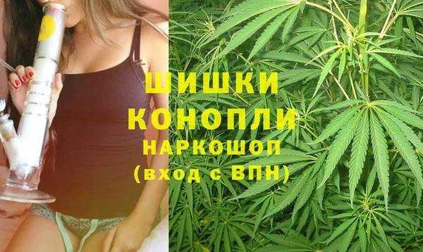 прущая мука Рославль