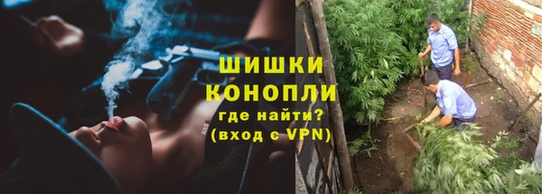дурь Бронницы