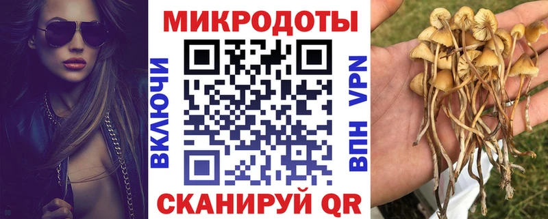 Галлюциногенные грибы MAGIC MUSHROOMS  Рузаевка 